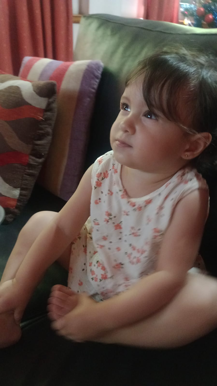 WhatsApp Image 2026-01-01 at 3.57.17 PM1.jpeg